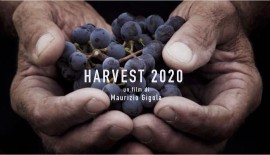 VINO E CINEMA: Il territorio del Collio tra i protagonisti della puntata italiana di 