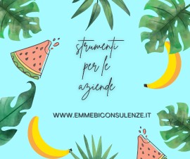 On line a qualche giorno il nuovo sito di emmebiconsulenze