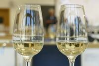 8° Concorso vini territorio, giovedì la premiazione delle cantine