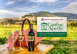 Visite, degustazioni ed esperienze: sono 47 le cantine umbre che aderiscono a Cantine Aperte 2024