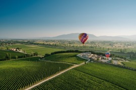 Ridurre il 60% del consumo idrico in agricoltura. L'esempio della Cantina Arnaldo Caprai