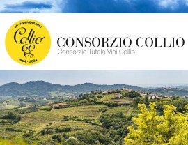 Settembre inizia alla grande in Collio con la vendemmia e un fitto programma di eventi autunnali