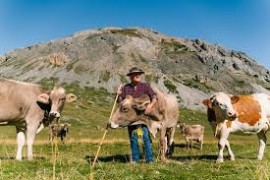 Lungo gli alpeggi della Valtellina