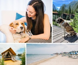 Vacanze a 6 zampe, con comfort speciali