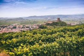 Germania, Canada, Regno Unito e Italia: il Soave ai nastri di partenza