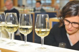 Al via la 2^ Rassegna nazionale vini PIWI, il 9 e 10 novembre 82 etichette in gara