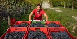 Monforte d'Alba, la barolista Sara Vezza tra i finalisti dell'EU ORGANIC AWARDS