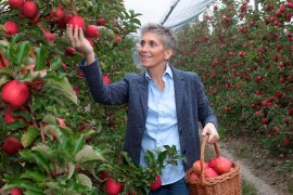 Sabato 17 maggio: Salvi Vivai inaugura 
