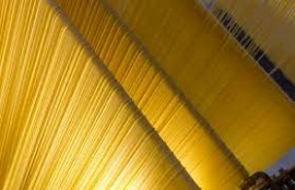 Torna Pastaria Festival con la VII^ edizione: oggi, 29 settembre a Parma, una full immersion sul know how del comparto, aspettando il World Pasta Day