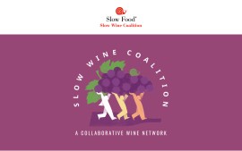 Vini e Terroir: la SLOW WINE FAIR 2024 a Bologna