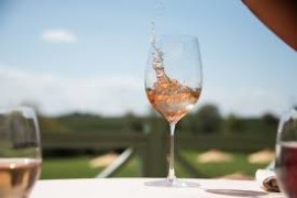 Il Consorzio Vini Bardolino partner del Palio del Chiaretto 2025: degustazioni e appuntamenti imperdibili per un’edizione che tinge di rosa le sponde del Lago di Garda