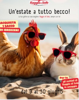 Con Raggio di Sole, l’estate è più cool… anche nel pollaio ed in cortile! 