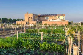 “Cibo, salute e sostenibilità”: il biologico al centro del territorio. Il grano duro Cappelli protagonista dell’evento