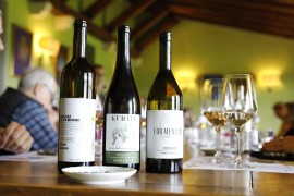 Raccontare il vino attraverso i cinque sensi al completo: ecco la nuova sfida del Consorzio Tutela Vini Collio 