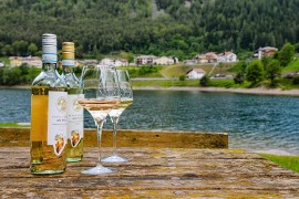 La DOC delle Venezie protagonista a Prowein e Vinitaly