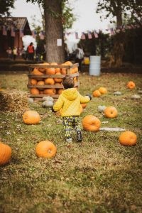 Sorpresa! Al Villaggio delle Zucche arriva Il Circo!