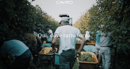 «Qui, dove tutto torna». Si rinnova il sito di Gruppo caviro.it 
