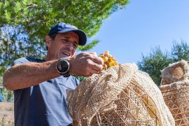 Online il nuovo sito dell’Azienda Agricola Arrighi dell’Isola d’Elba  