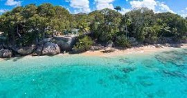 Donne al Timone: Barbados onora la Giornata della Donna con storie di successo