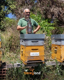 Sicurezza e apicoltura: 626 School protegge sia lavoratori che api sarde