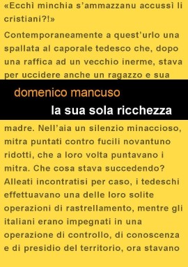 “La sua sola ricchezza” di Domenico Mancuso 