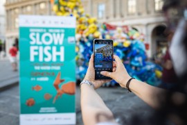 Le 10 cose da fare a Slow Fish 2023