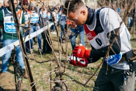 16 marzo all’Agricola San Felice di Castelnuovo Berardenga – 2° Festival del Potatore ideato e organizzato da Simonit&Sirch Vine Master Pruners