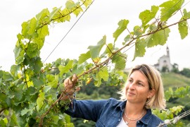 Tenuta Mazzolino a “OLTREPÒ TERRA DI PINOT NERO”