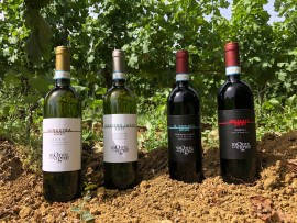 I Vini della Prosa di Monte delle Vigne: Quattro etichette per raccontare il territorio di Parma 
