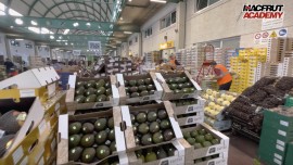 Macfrut Academy, nuova videolezione il 18 gennaio