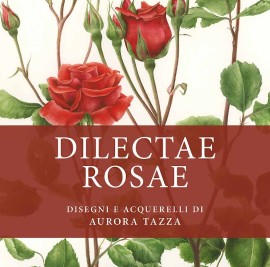 Dilectae Rosae - Disegni e Acquerelli di Aurora Tazza 