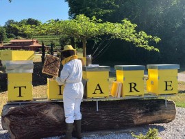 20 maggio Giornata mondiale delle api – “Save the Bees and Farmers” è dedicata alle api la gamma dei vini bianchi di Tiare di Dolegna del Collio 