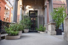 La nuova terrazza green nel cuore di Milano del Museo Bagatti Valsecchi 