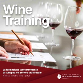 Didattica a distanza, ecco i workshop formativi del  Consorzio di Tutela del Primitivo di Manduria