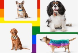 Pride 2023: Flying Tiger propone vivaci accessori arcobaleno per gli amici a 4 zampe