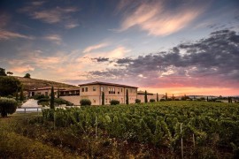 Edoardo Freddi International annuncia la nuova partnership con Monteverro: un'unione di eccellenze nel mondo del vino