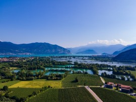 Primavera bresciana - Rifioriscono parchi e giardini, si inseguono eventi florovivaistici e riaprono limonaie e orti botanici