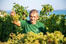 GREEN, ma davvero! Le tre sostenibilità di FANTINI GROUP: sociale, ambientale, tecnologica