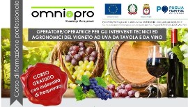 Nuovo corso GRATUITO volto al conseguimento della qualifica professionale per “operatore/operatrice per gli interventi tecnici ed agronomici del vigneto ad uva da tavola e da vino”