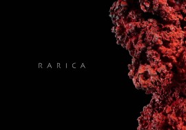 Rarica, FRANCESCO DILUCA