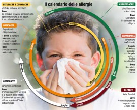 Allergie stagionali e rimedi naturali efficaci