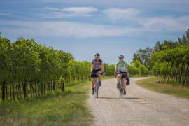 Di cantina in frantoio, pedalando lungo le vie del vino e dell’olio: Cicloturismo, oleo ed enoturismo a Verona e nel Garda veronese