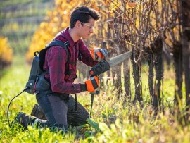 A scuola di dendrochirurgia con Simonit&Sirch Vine Master Pruners - Fall Edition 2023