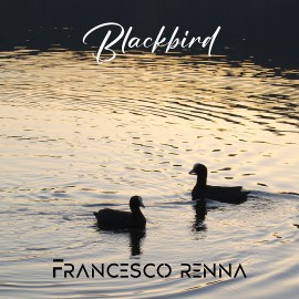 Blackbird, il nuovo singolo di Francesco Renna