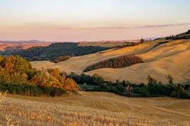 Nasce la 1^ Crete Senesi Ultramarathon 50km, il 6 maggio riflettori accesi sulle strade bianche. Tre distanze competitive e passeggiata 10 km non competitiva