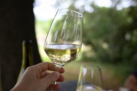 VINI DOC MAREMMA TOSCANA pronti per il debutto a WINE PARIS