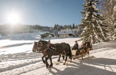 5 proposte dal Salisburghese per un inverno oltre lo sci