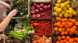Personale Qualificato per Magazzini e Aziende Ortofrutticole a Verona e nel Veneto