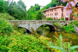 Nel bosco e lungo il fiume