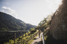Alpino e Mediterraneo. In primavera si cammina con i Vitalpina® Hotels Südtirol/Alto Adige